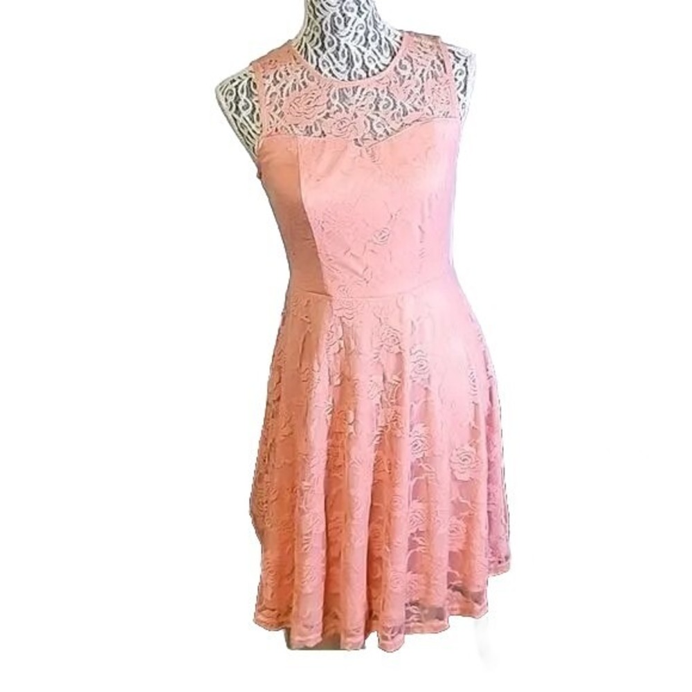 Floral Lace Sleeveless Fit and Flare Skater‎ Dress Blush Pink Sheer Yoke Overlay